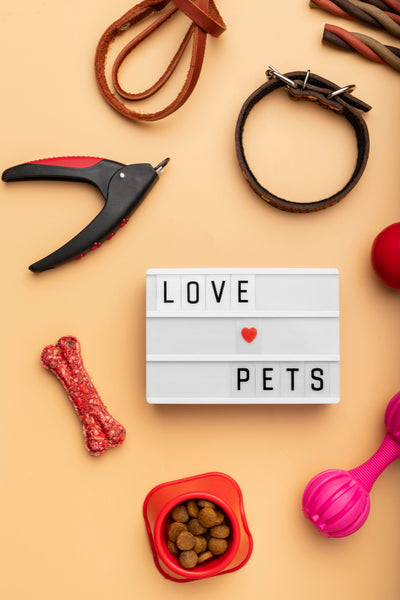 Pet Accessories